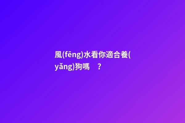 風(fēng)水看你適合養(yǎng)狗嗎？